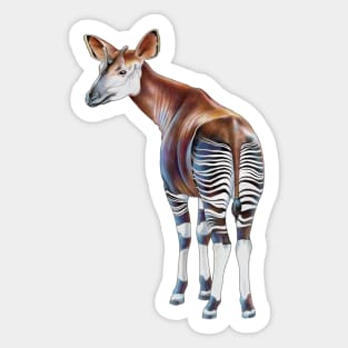 Okapi Sticker